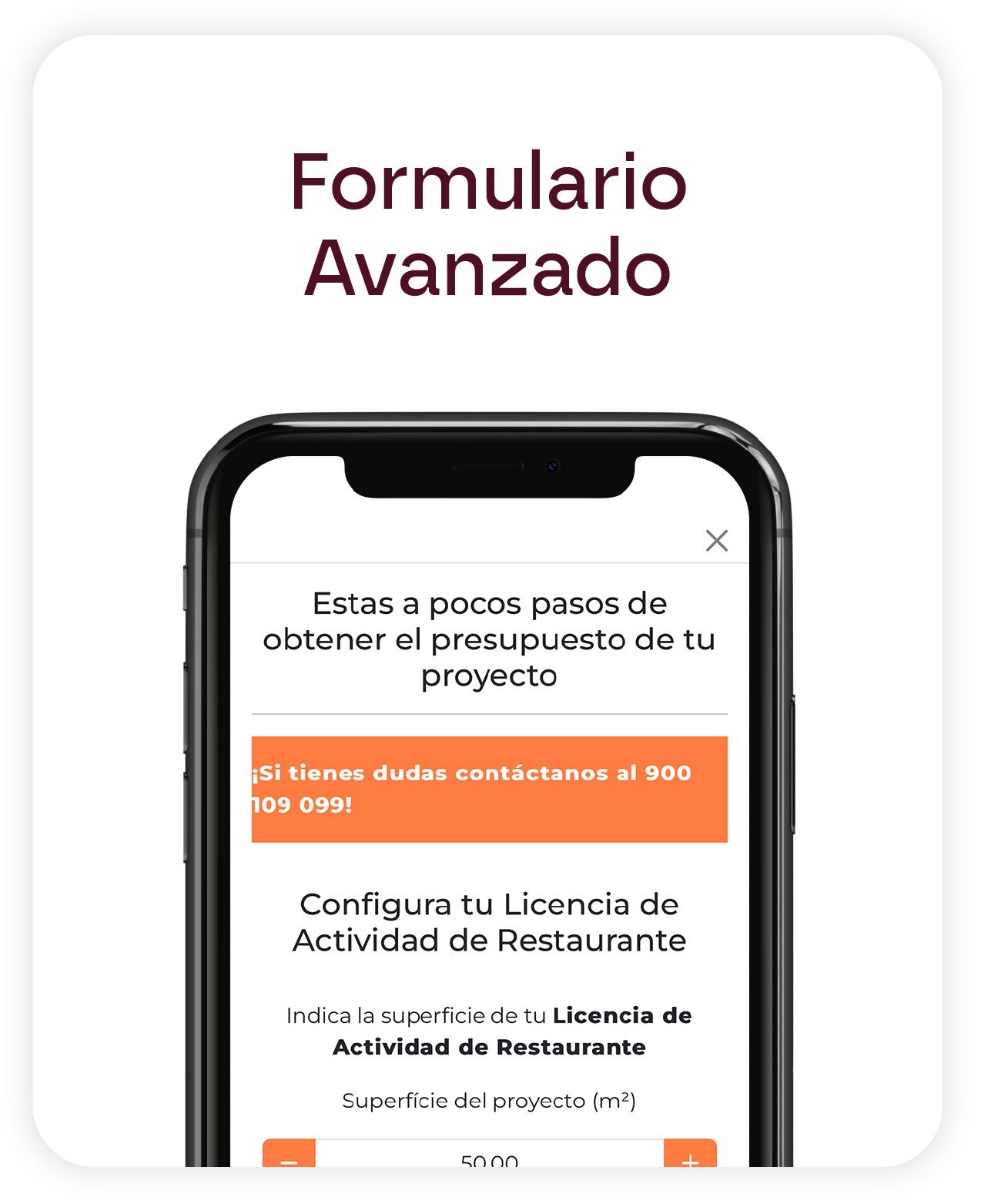 Formulario Avanzado