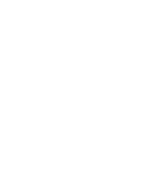 Logo COIICO